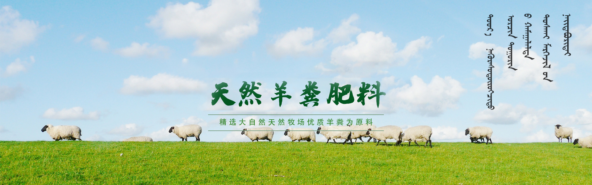 内蒙古喜羊羊生物动力科技有限公司